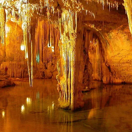 White - Centro باري